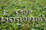 Crop Encyclopedia