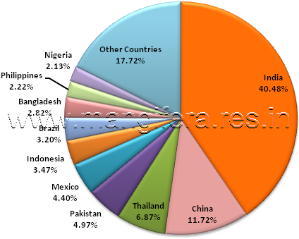 International Production and Productivity