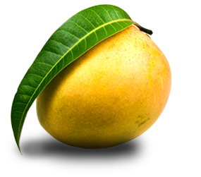 Alphonso Mango Puree/Pulp